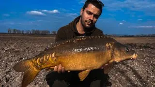 &Scaron;TRKOVISKO KOMJATICE [ Plus veľk&yacute; &uacute;spech na zimnej rieke] #1 #korda #mainlinebaits #mainline