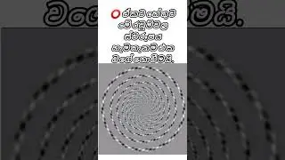මෙන්න  ඇස්බැන්ඳුම්😵 #dannavada #facts#smax