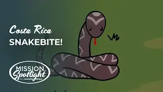 August 24 - Snakebite!