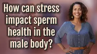 How can stress impact sperm health in the male body?