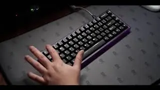 NK65 Entry Edition with Creamsicle Switches Sound Test