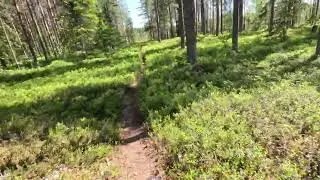 Trails @ Gruvberget, Boden