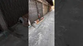 Обратная сторона Бангкока | Грязь и попрошайки | Бангкок | Таиланд | Затерянные в путешествии