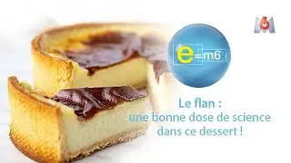 E=M6 - Le flan : une bonne dose de science dans ce dessert !