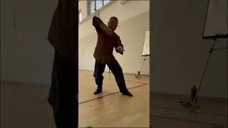 Taiji dell Acqua Wang Zhixiang