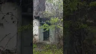 Abandoned Bulgaria - Diadovtsi village, Rhodope mountains