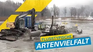 Flusstypische Artenvielfalt der H&Ouml;SSGANGTEICHE erhalten | Felbermayr-Wasserbau