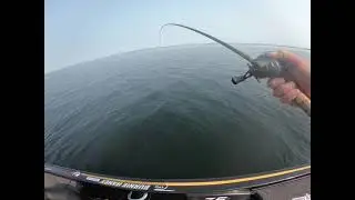 TFO Pro WC 764 1 (In-line Spinner) Walleye Catch