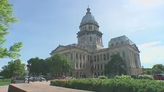 Illinois Republican apologizes after Democrats call statements caught on tape &lsquo;racist,&rsquo; &lsquo;homophobic&rsquo;