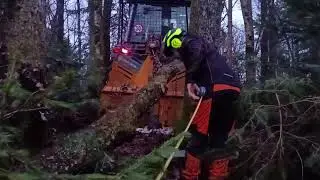 Forest Work with Solis S60 - Farming POV