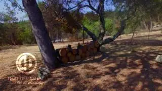 Shingle Springs - CA (Real Estate) - 4K