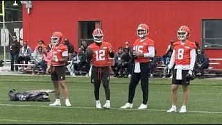 Browns trim QB room, Terry extension, Buccs cut Desmond Watson & more | Trap or Dive Podcast
