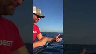 Landing a sailfish between 3 tournament boats