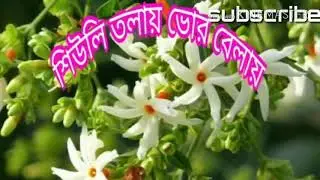 Mix Shiuli tolay bhor belay,