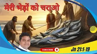 3rd Sunday of Easter, Hindi Homily, Jn21:1-19