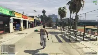 Compact Grenade Launcher - GTA 5