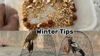 Murga Murgi Winter Self Care Tips❤️