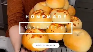 Homemade Bagels That Taste Like a Bakery (Easy Recipe)