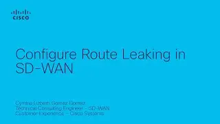 How to Configure Route Leaking in SD-WAN | Simplify Network Routing