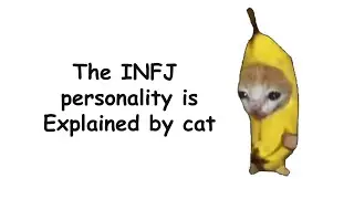 A Story about INFJ Personality Explained by a Cat