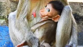 Pity Baby skinny baby Vigo sleeping after drink milk