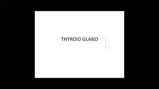 Thyroid Gland!Anatomy!Anesthesia!surgical!T3!T4!