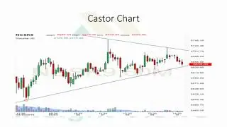Ncdex & Mcx Commodities Future Movements