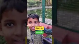 Sarnath mini zoo #sarnath #sarnathminizoo #buddhisthplace #buddhisthistory