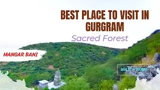 Oldest Sacred Forest near Delhi-Gurgaon|| Mangar Bani|Places to visit in Gurgaon