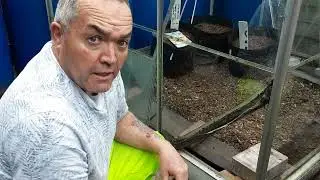 How Do I Fit Greenhouse Glass Clips 🌻Greenhouse Maintenance 🌻Allotment Gardening Jobs In 30 Minutes