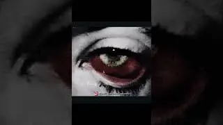 Lia lia