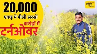 पीली सरसों का कमाल: 20 हजार एकड़ में खेती, दिल्ली-NCR तक सीधी बिक्री | Gaon Junction LIVE