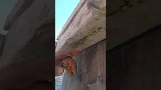 كيفاش تحكم نيفو تاعك طريقة سهلة