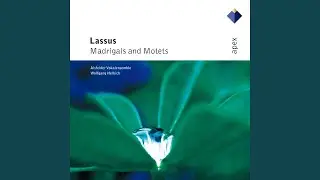 Lassus : 