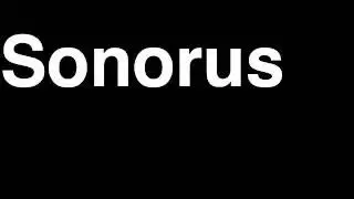How to Pronounce Sonorus Harry Potter Charm Curse Casting Magic Spell Incantation Wizard Wand Duel