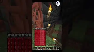 I'VE BUILT EPIC ARENA IN MINECRAFT #shorts