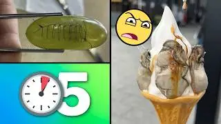 25 Things You DIDN'T Know 5 minutes ago!! ⏰😲 [273]