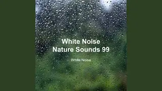 Sleeping Rain Sound