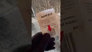 Сколько стоит билет в небеса #poland