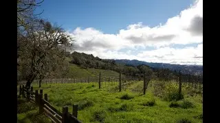 Spotlight on One Acre Vineyard