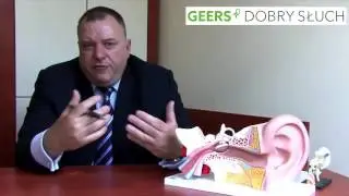 GEERS Polska czyli dobry słuch