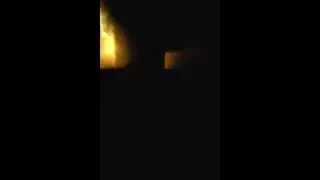 2 Cats crying at each other