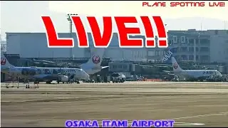 生中継！伊丹空港!!  Plane Spotting Itami Airport 01/23/2026