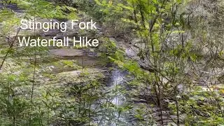 Stinging Fork Falls Hike