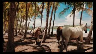 Horse Videography | 4K Clip | HD | Horse Running | #Horse
