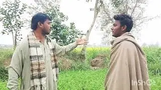 January 10, 2026ہیرا پھیری فاطمہ راجپوت 