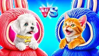 Cat vs Dog! Who Wins Ultimate Pet Challenge?