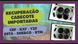 Cabe&ccedil;ote Quebrado / Danificado - Recupera&ccedil;&atilde;o Profissional Completa - Master & Cia