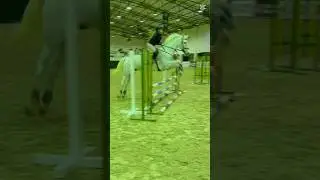 Ate!!🤩💗#horse #pony #equestrian #showjumping #showpony #horseriding #horselove