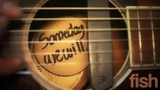 Someday We Will - Fish